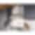 Zephyr 42 inch 750 CFM Wall-Mount Chimney Ventilation Hoodfan