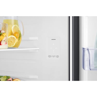 Samsung 17.50 cu.ft. Top-Freezer Refrigerator