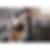 KitchenAid 36 inch Electric Cooktop