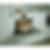 Wolf 24 inch Steam Convection Wall Oven