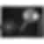 JennAir 30 inch Downdraft Electric Cooktop
