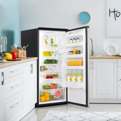 Danby 11 cu.ft. All Refrigerator