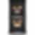 Whirlpool 27 inch Double Wall Oven with Convection