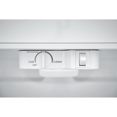 Frigidaire 20 cu.ft. Top-Freezer Refrigerator