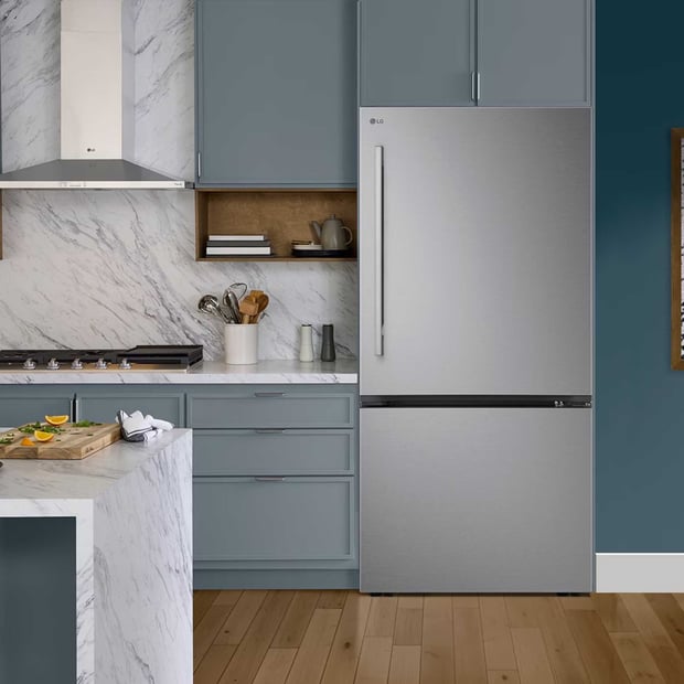LG 26 cu.ft. Bottom-Freezer Refrigerator
