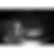 JennAir 24 inch Gas Cooktop