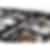 Bertazzoni 36 inch Single Oven All Gas Range