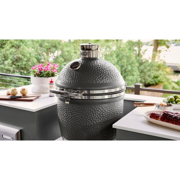 Lynx Pro Built-in 22 inch Charcoal BBQ Grill 