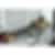 Wolf 36 inch Gas Cooktop