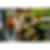 Fontana Freestanding 31 inch BBQ