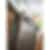 Cove 12 Cycle Dishwasher with Hidden Controls