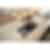 Wolf 15 inch Gas Cooktop