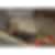 KitchenAid 30 inch Electric Cooktop