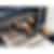 Miele Built-in 24 inch 3.32 cu.ft. Wine Cooler