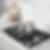 Bosch 30 inch Gas Cooktop