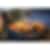Napoleon TravelQ 285 Portable 2 Burner Liquid Propane BBQ Grill with Griddle