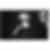 JennAir 36 inch Electric Cooktop
