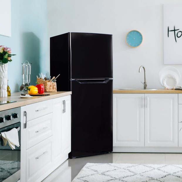 Danby 10.1 cu.ft Top-Freezer Refrigerator