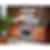Wolf 36 inch Single Oven Gas Range