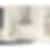 Zephyr 30 inch 600 CFM Wall-Mount Chimney Ventilation Hoodfan