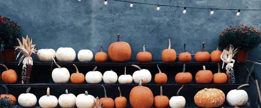 No-carve pumpkin decoration