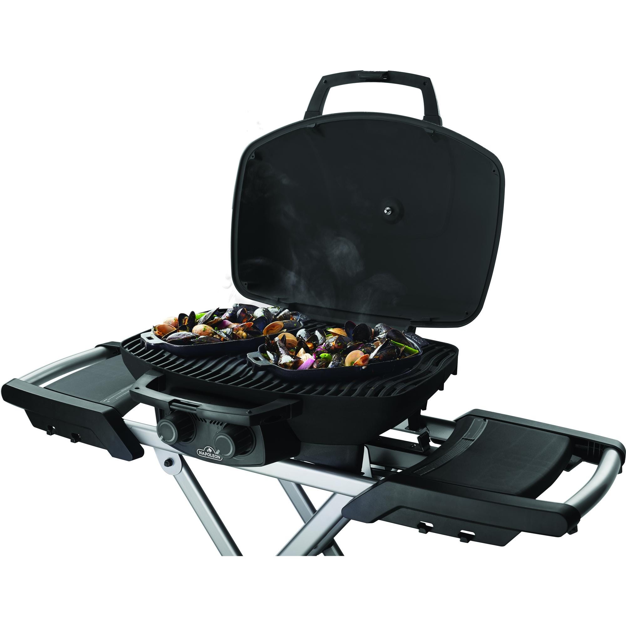 Napoleon portable propane outlet bbq grill
