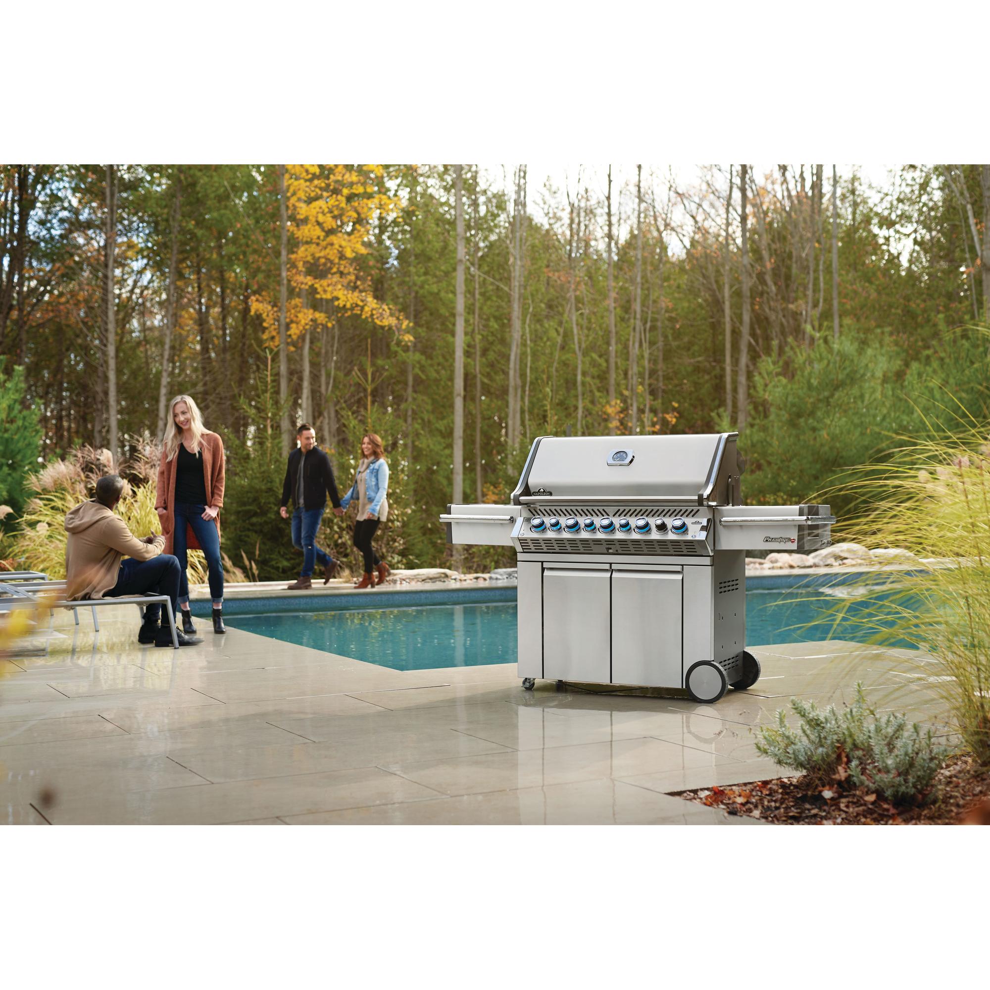 Napoleon bbq deals cover
